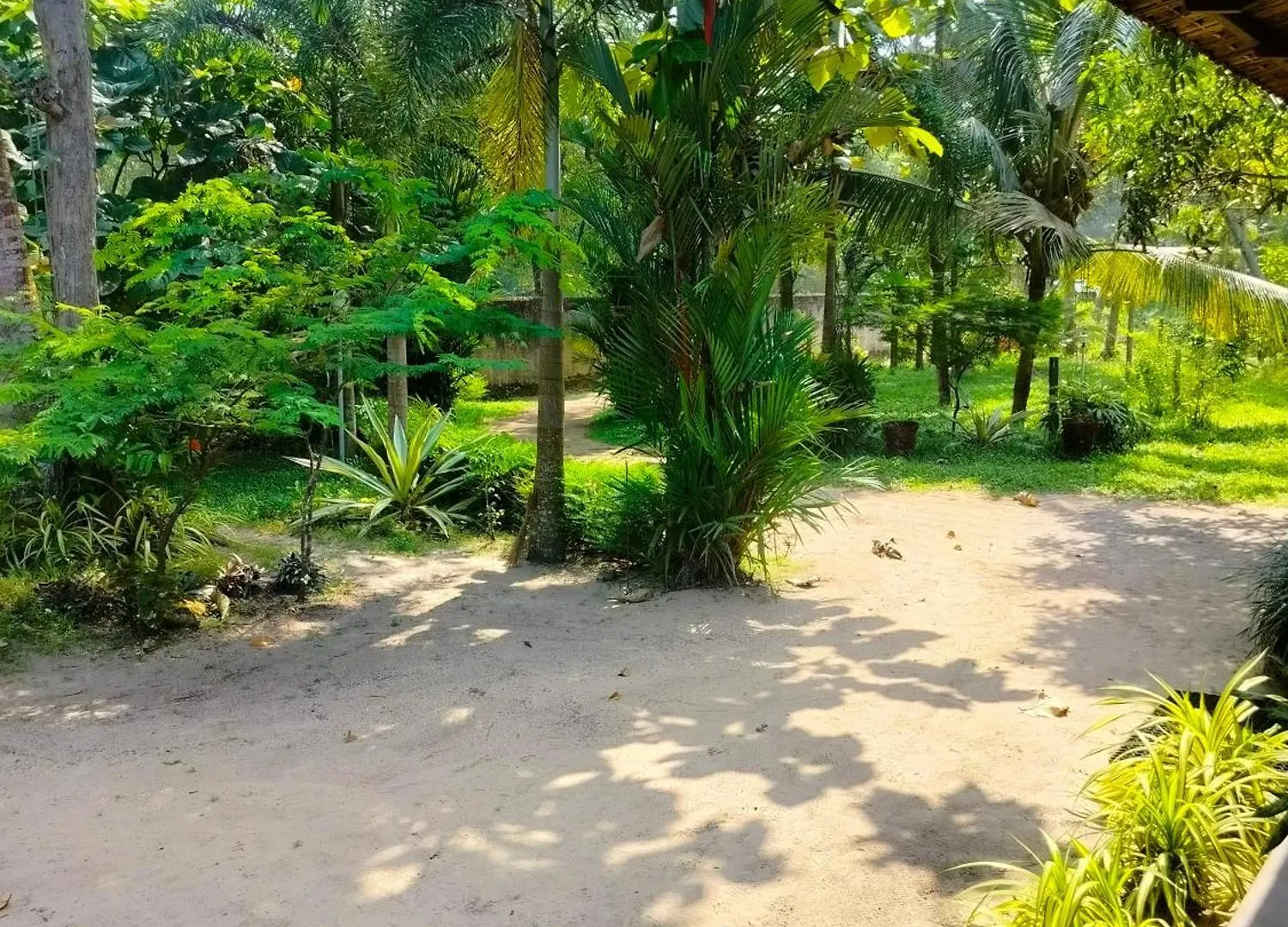Marari Greenland Homestay Mararikulam