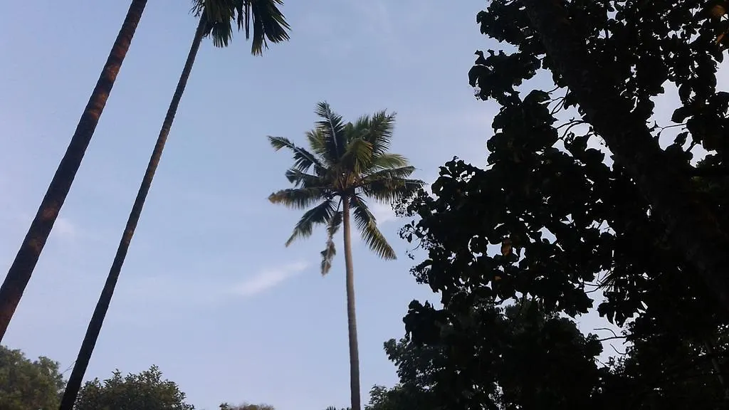 Marari Greenland Homestay Mararikulam 0*,