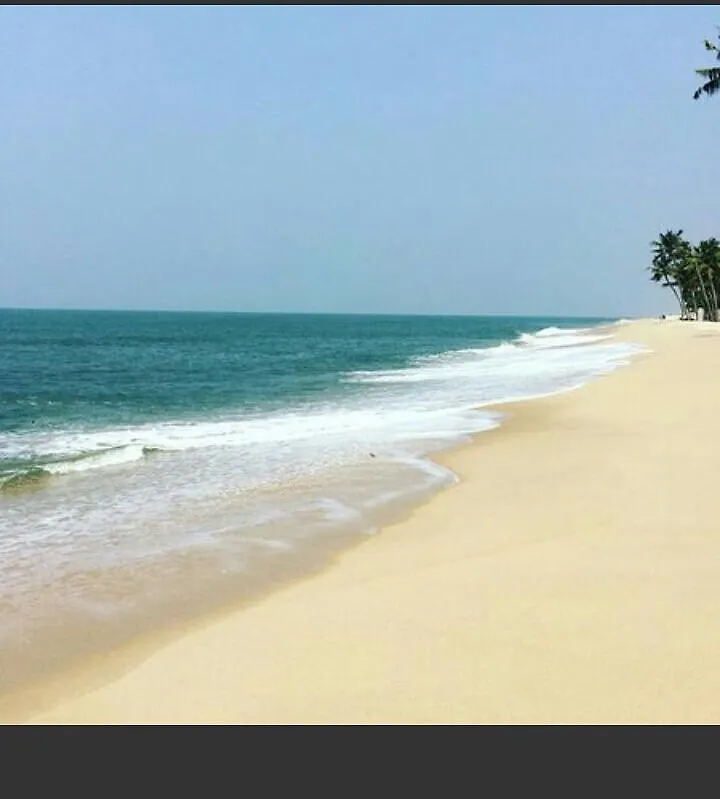 Marari Greenland Homestay Mararikulam
