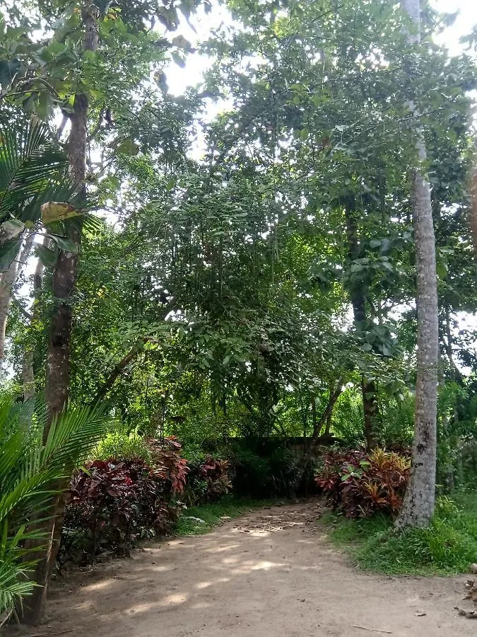 Marari Greenland Homestay Mararikulam